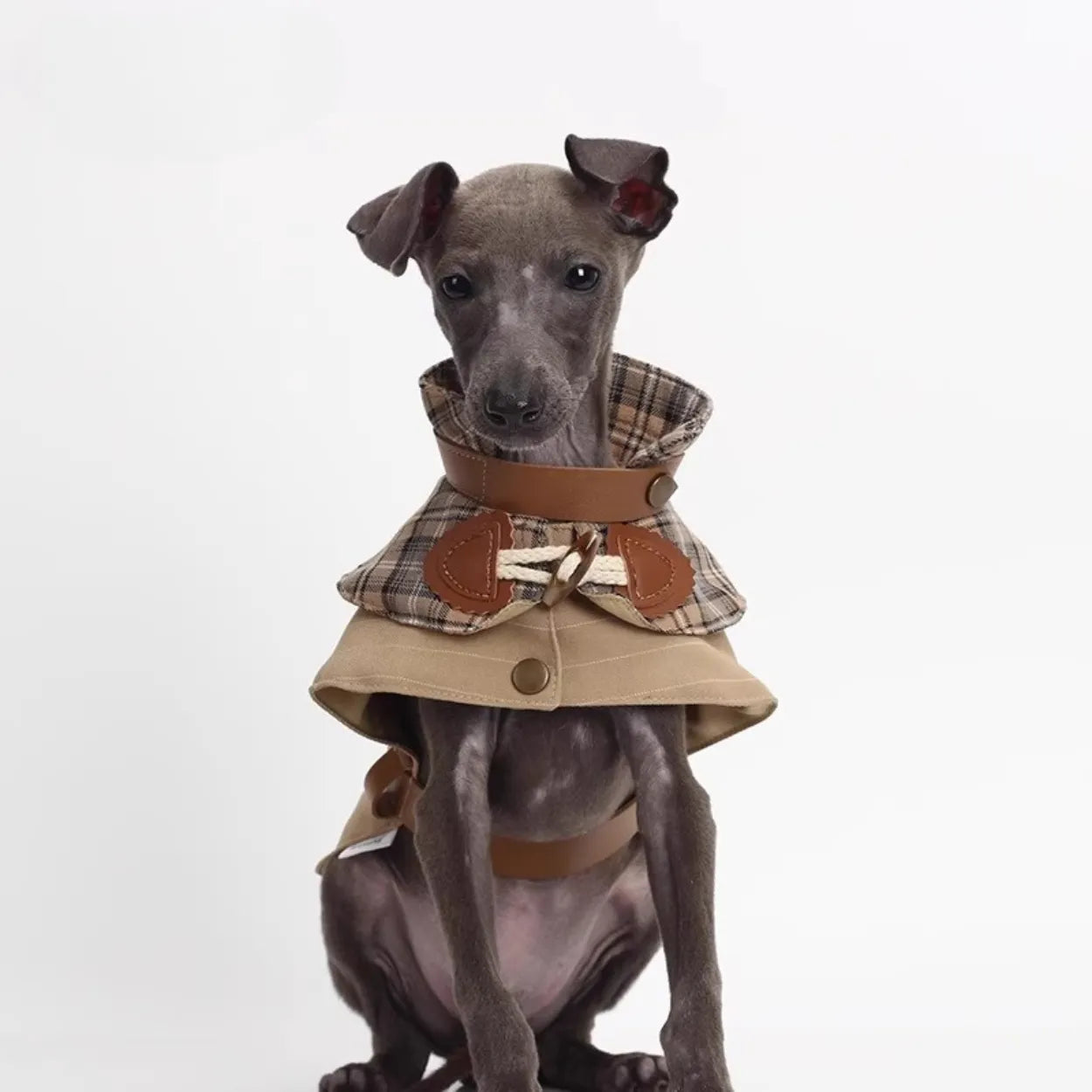 Sherlock Style Dog & Cat Trench Coat | Adjustable Pet Windbreaker with Leash Hole | BITEONE Spring Summer Pet Clothes for Small Dogs & Cats