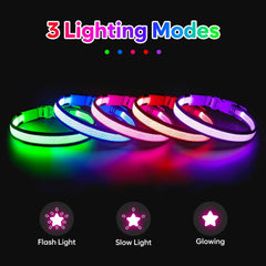 Flashseen LED Dog Collar | USB Rechargeable Light-Up Safety Collar | Adjustable Soft Mesh Design for Small, Medium & Large Dogs (Buy 2, Get 1 Free)