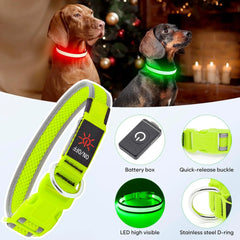Flashseen LED Dog Collar | USB Rechargeable Light-Up Safety Collar | Adjustable Soft Mesh Design for Small, Medium & Large Dogs (Buy 2, Get 1 Free)